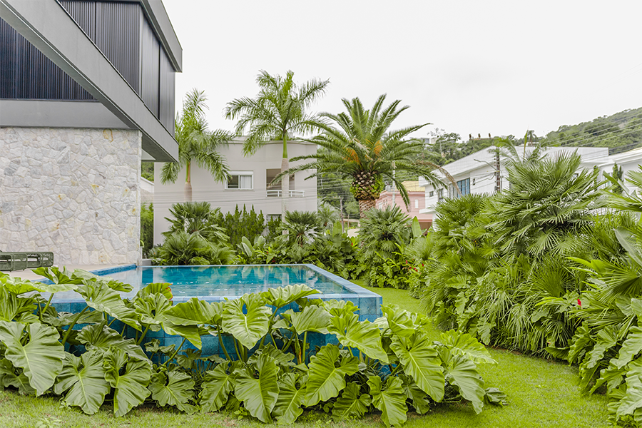 Projeto Thierry Moraes